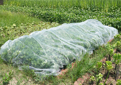 Thicker Ultra Fine Garden Mesh Netting