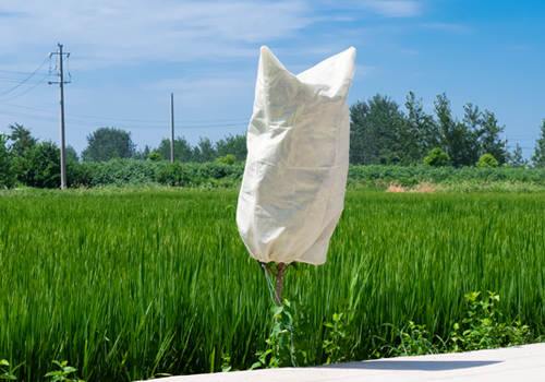 Hyxanons - Your Garden Guardian